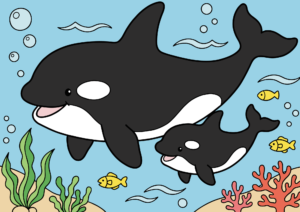 かわいい親子シャチの塗り絵イラスト