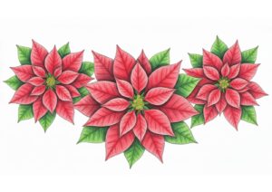 12月の花ポインセチアの塗り絵イラスト カラー見本（無料・印刷OK）