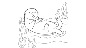 ラッコの塗り絵イラスト 塗り絵 白黒 印刷用