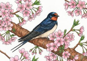 桜とつばめの塗り絵イラスト カラー見本（無料・印刷OK）