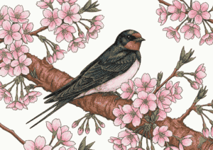 桜とつばめの無料塗り絵イラスト素材｜大人向け春のフリー画像ダウンロード