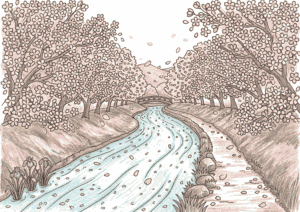 sakuragawa hashi cherry blossom river bridge nurie color 20260327