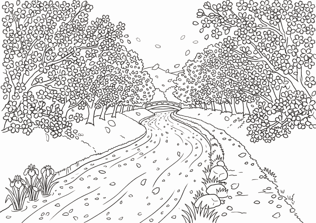 桜並木と川と橋の塗り絵 白黒線画 川沿いの桜並木の風景