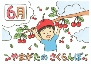 さくらんぼの塗り絵 カラー見本