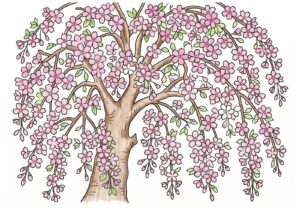 枝垂れ桜（シダレザクラ）の塗り絵イラスト カラー見本（無料・印刷OK）