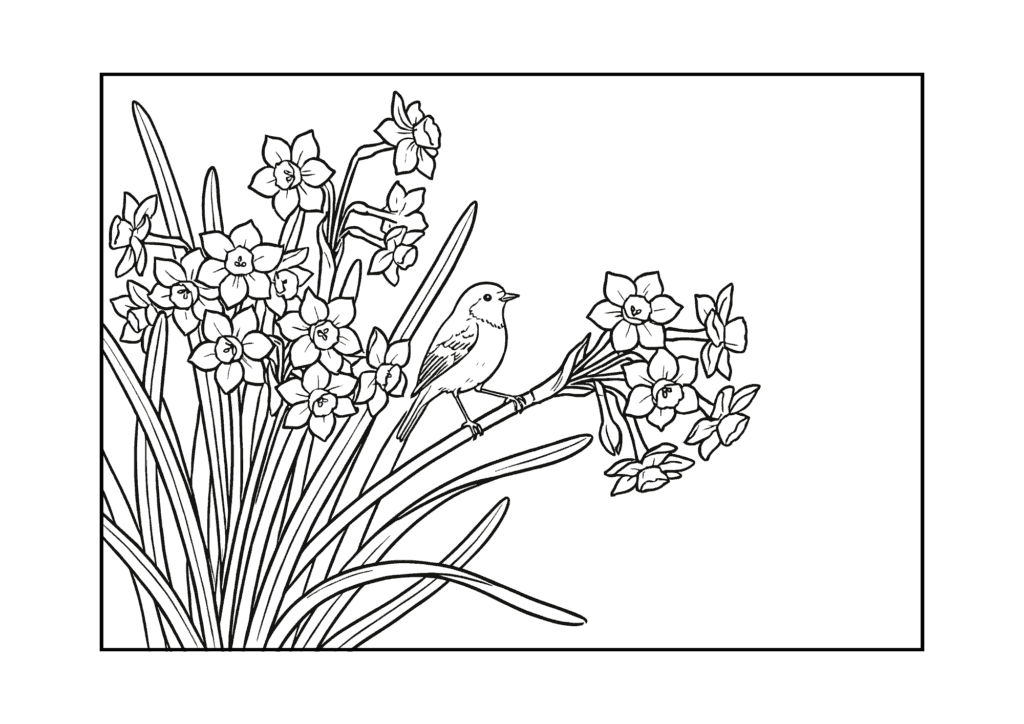 水仙と小鳥の塗り絵 白黒 無料ダウンロード 印刷用