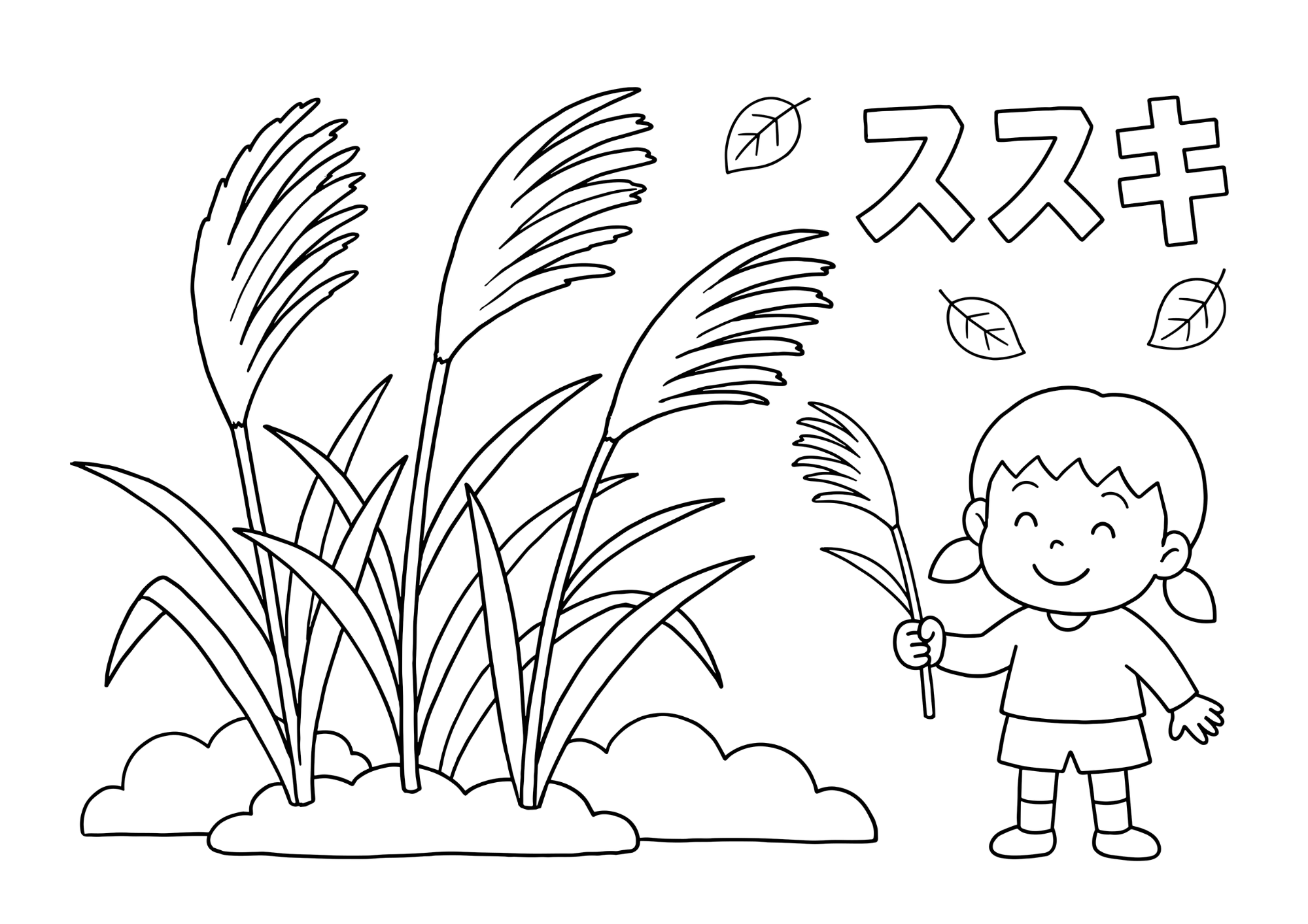 すすきの塗り絵イラスト 白黒線画 印刷用(無料)