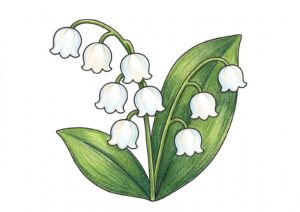 スズランの塗り絵イラスト カラー見本（無料・印刷OK）