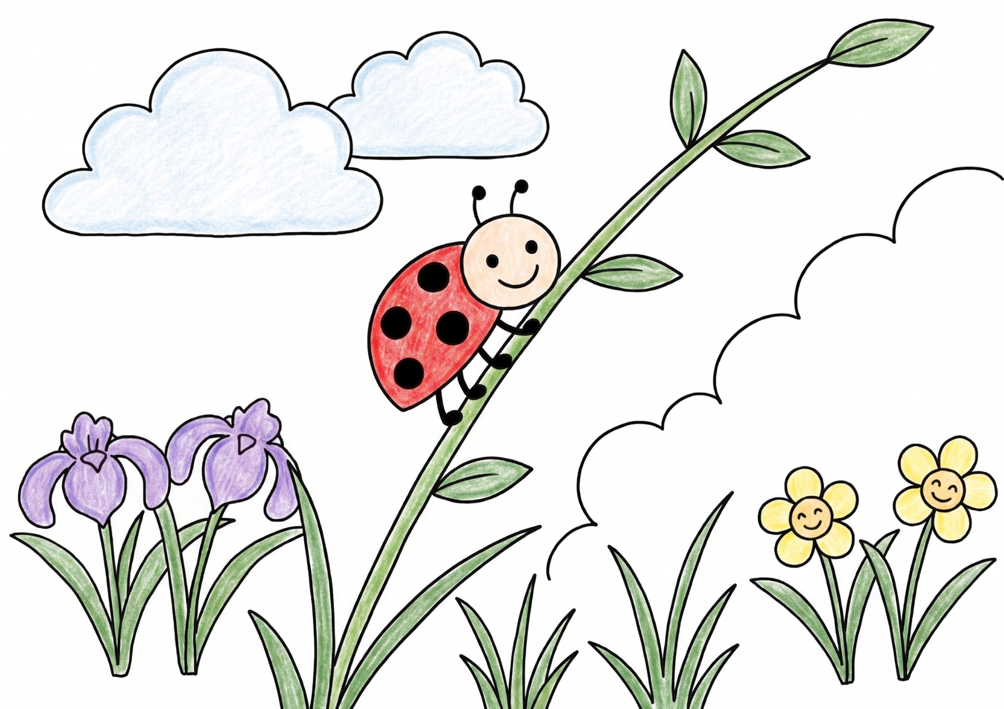 てんとう虫の塗り絵カラー見本、子供向け無料イラスト