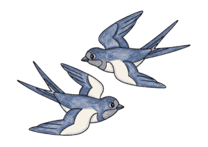 ツバメの塗り絵 カラー見本