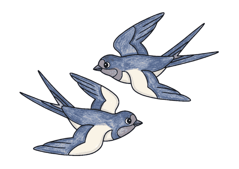 ツバメの塗り絵イラスト