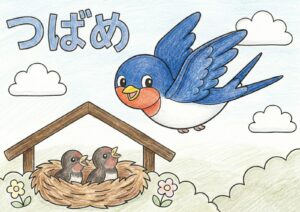 つばめの塗り絵イラスト カラー見本（無料・印刷OK）