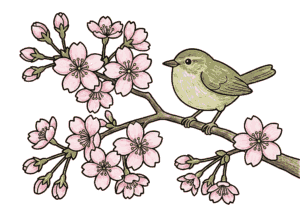 桜とウグイスの無料塗り絵イラスト｜春の花と小鳥｜フリー画像素材ダウンロード