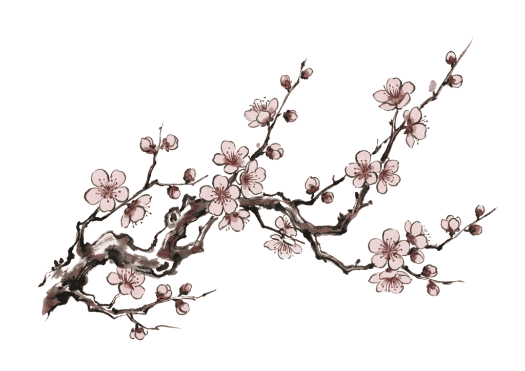 梅の花のイラスト｜無料ダウンロード｜塗り絵イラスト｜フリー画像｜素材