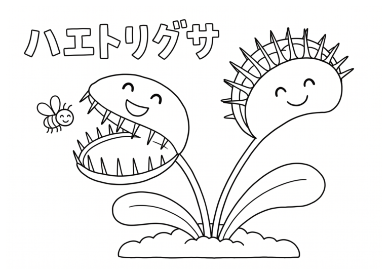 ハエトリグサの塗り絵白黒、子供向け無料印刷