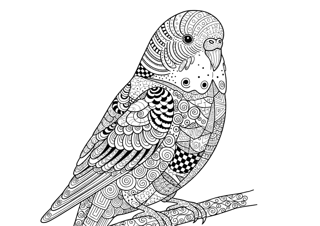 ゼンタングル風セキセイインコの塗り絵 白黒 無料ダウンロード 印刷用