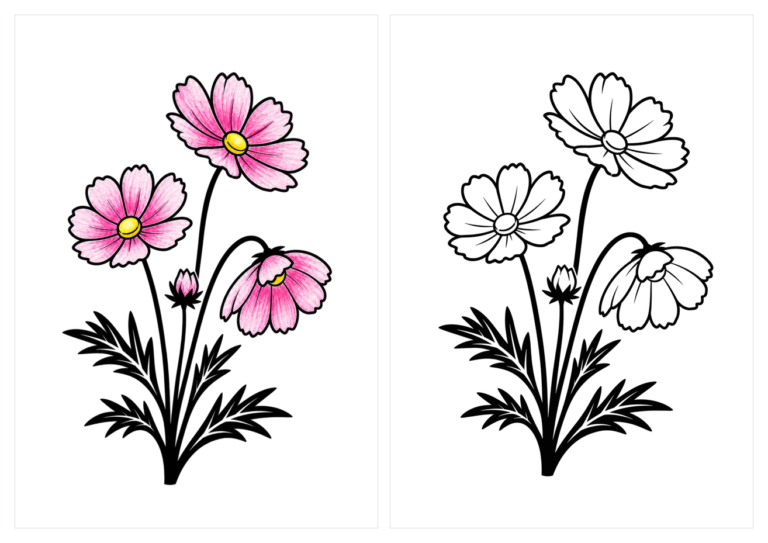 コスモス（秋桜）の塗り絵