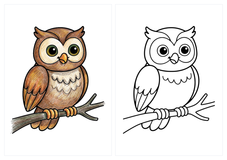 かわいいフクロウの塗り絵