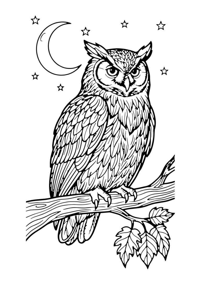 月夜のふくろうの塗り絵(白黒線画)