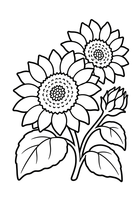 ひまわりのぬりえ 線画