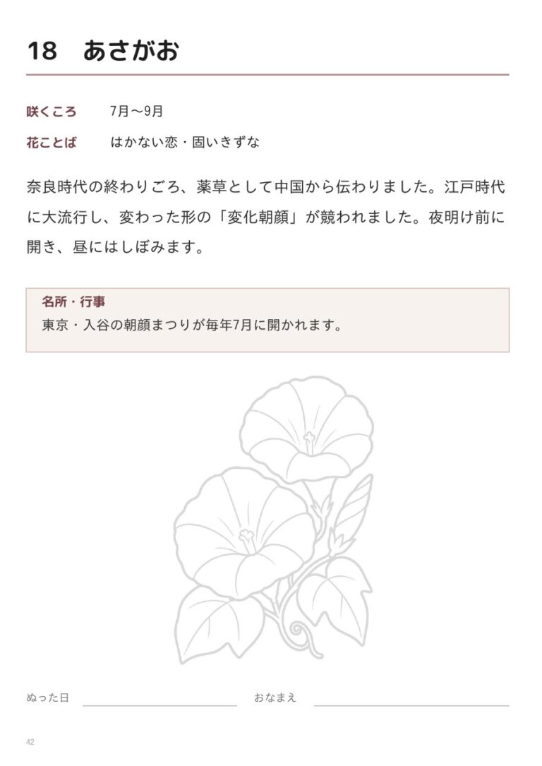 あさがおの裏面(咲くころ・花ことば・豆知識)