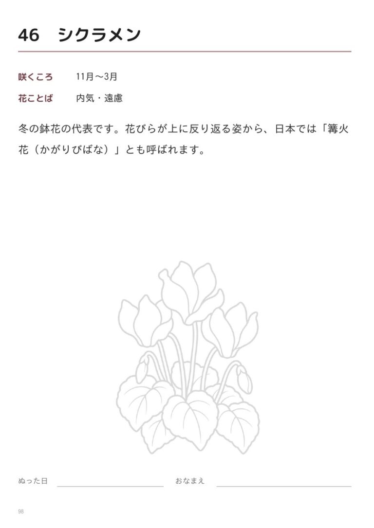 シクラメンの裏面(咲くころ・花ことば・豆知識)
