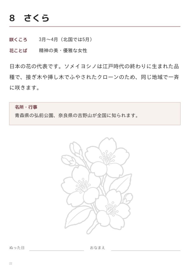 さくらの裏面(咲くころ・花ことば・豆知識)