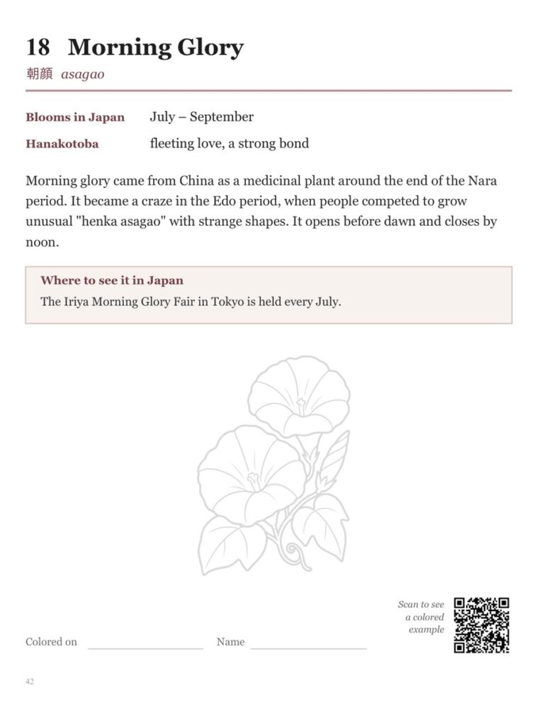 Back page of the Morning Glory design