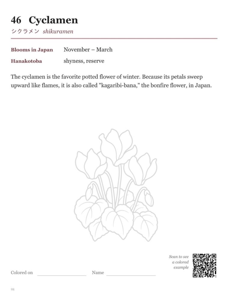 Back page of the Cyclamen design