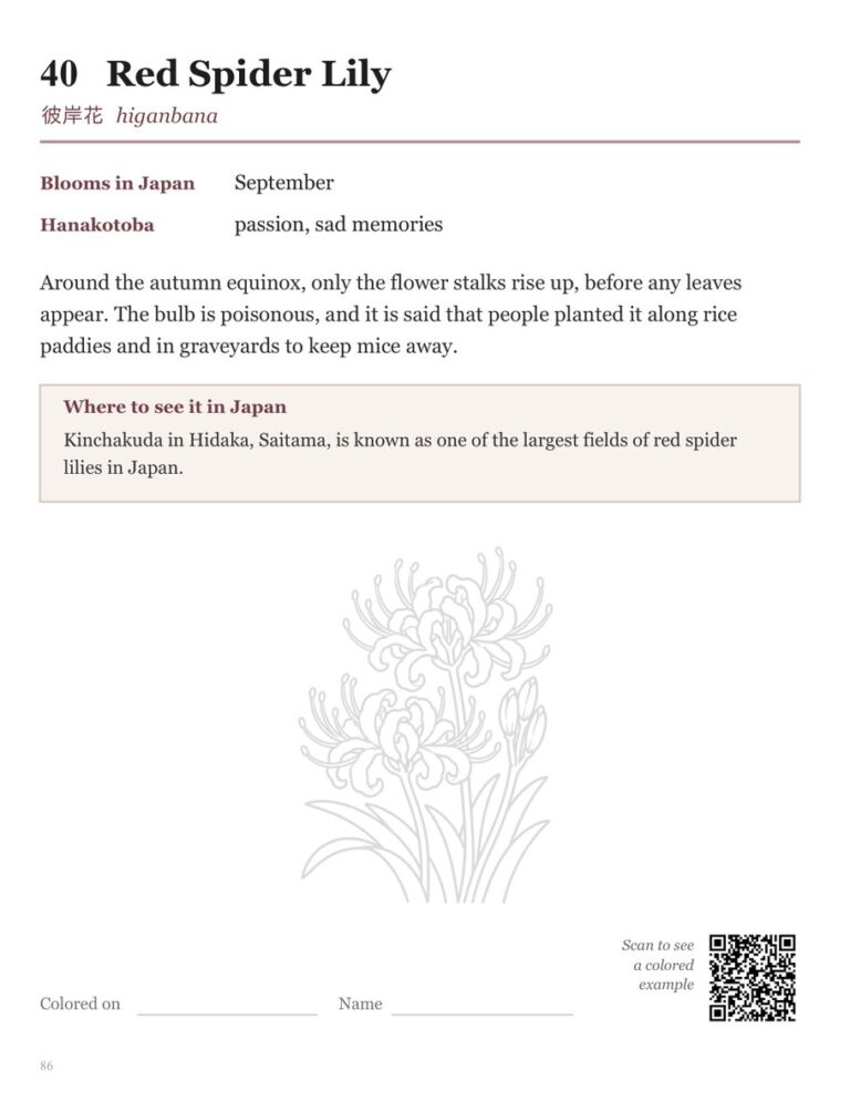 Back page of the Red Spider Lily design