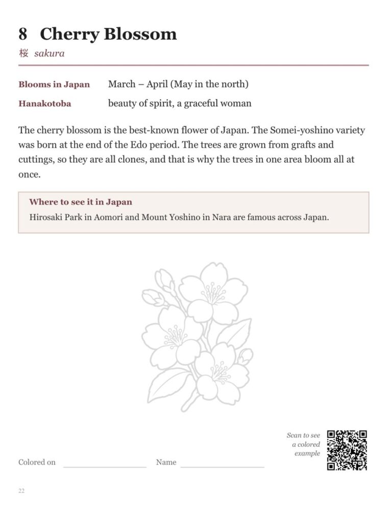 Back page of the Cherry Blossom design