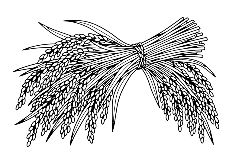 実った稲穂の塗り絵(白黒線画)