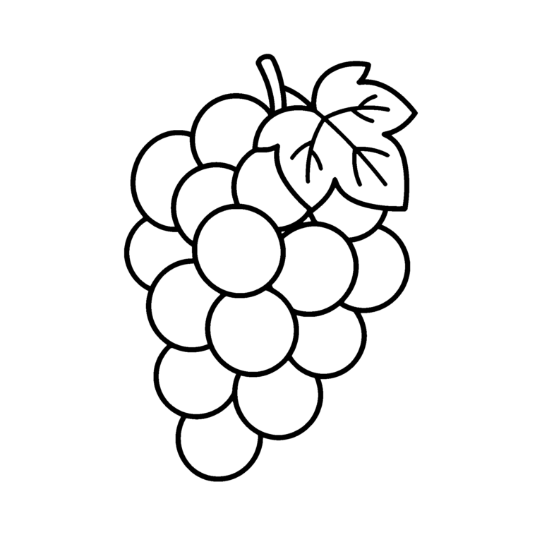 ぶどうのイラスト（線画）｜壁面かざり用・背景透過PNG