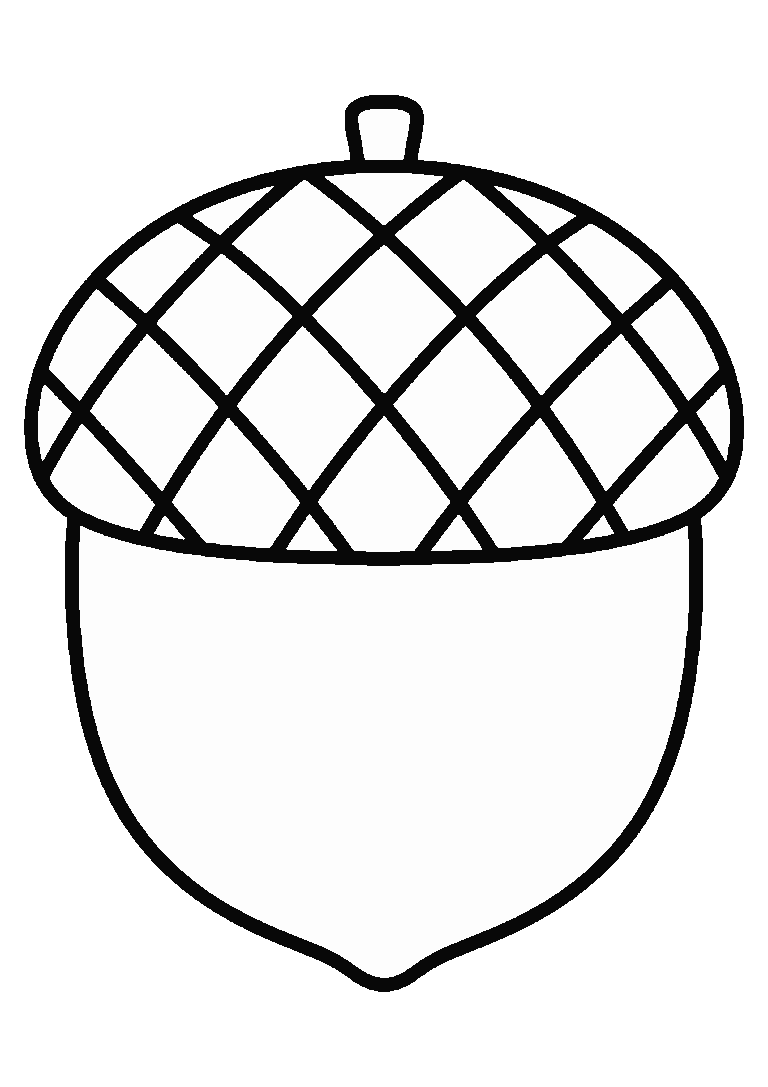 どんぐりのイラスト（線画）｜壁面かざり用・背景透過PNG