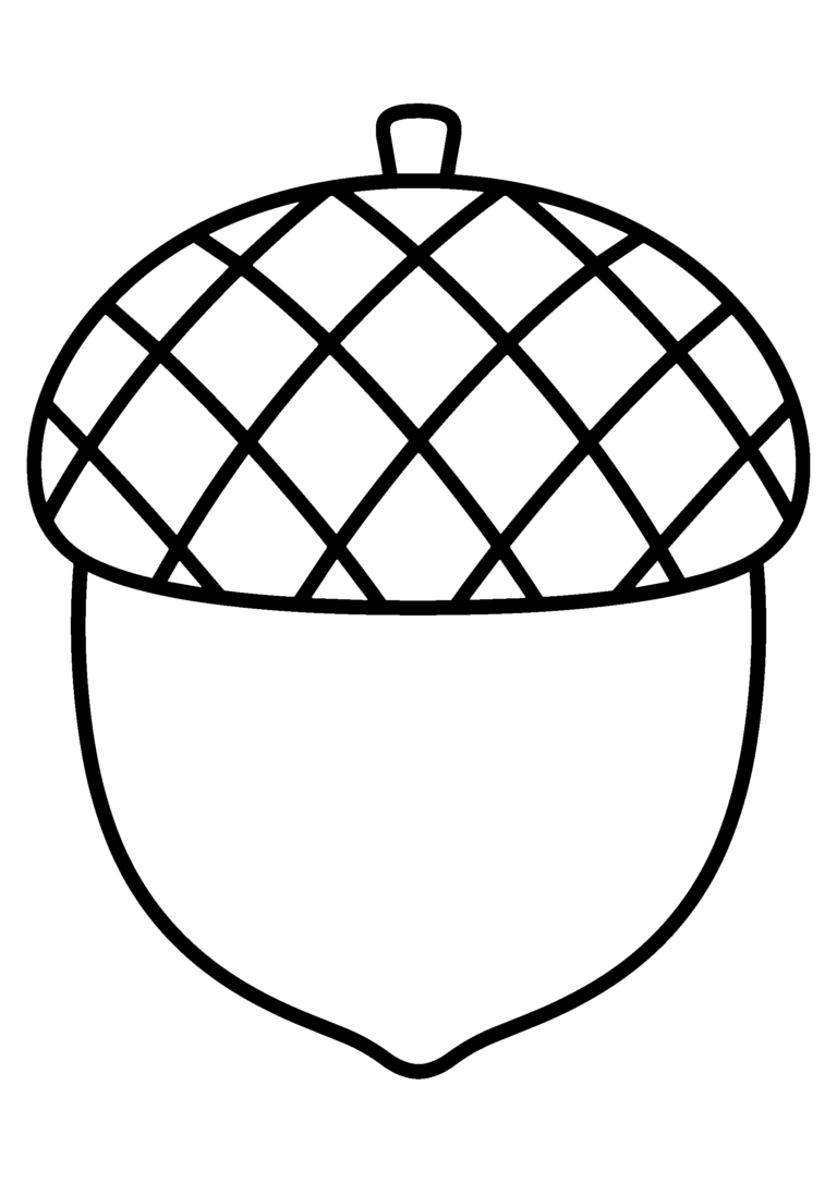 どんぐりのイラスト（線画）｜壁面かざり用・背景透過PNG