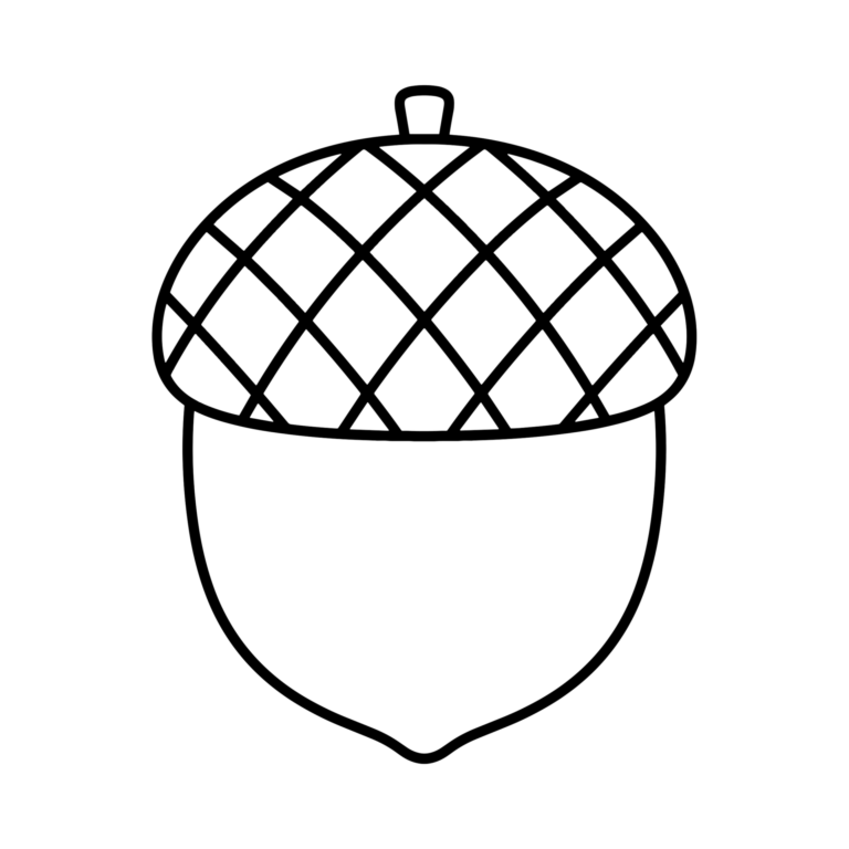 どんぐりのイラスト（線画）｜壁面かざり用・背景透過PNG