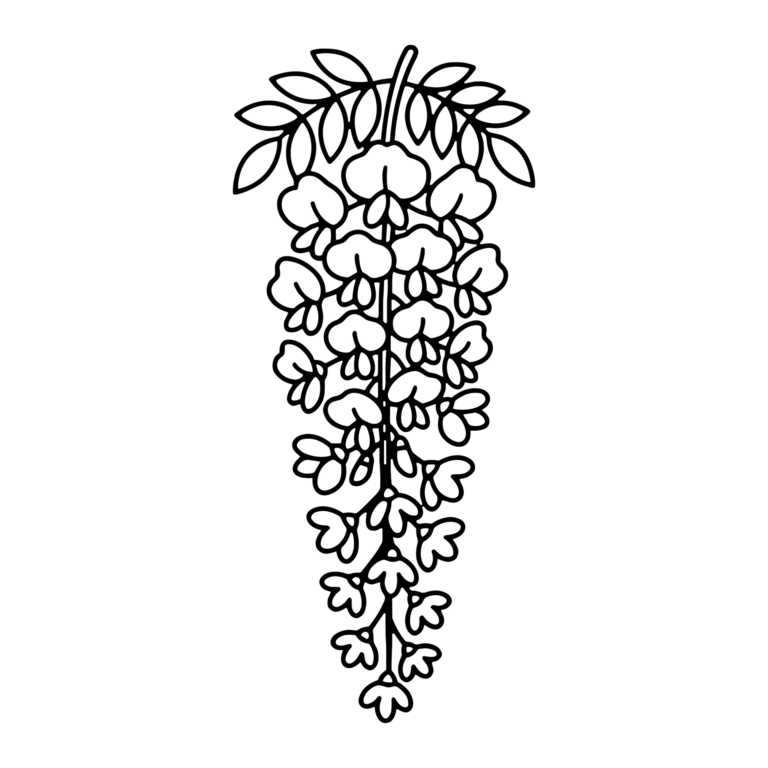 ふじの花のイラスト（線画）｜壁面かざり用・背景透過PNG