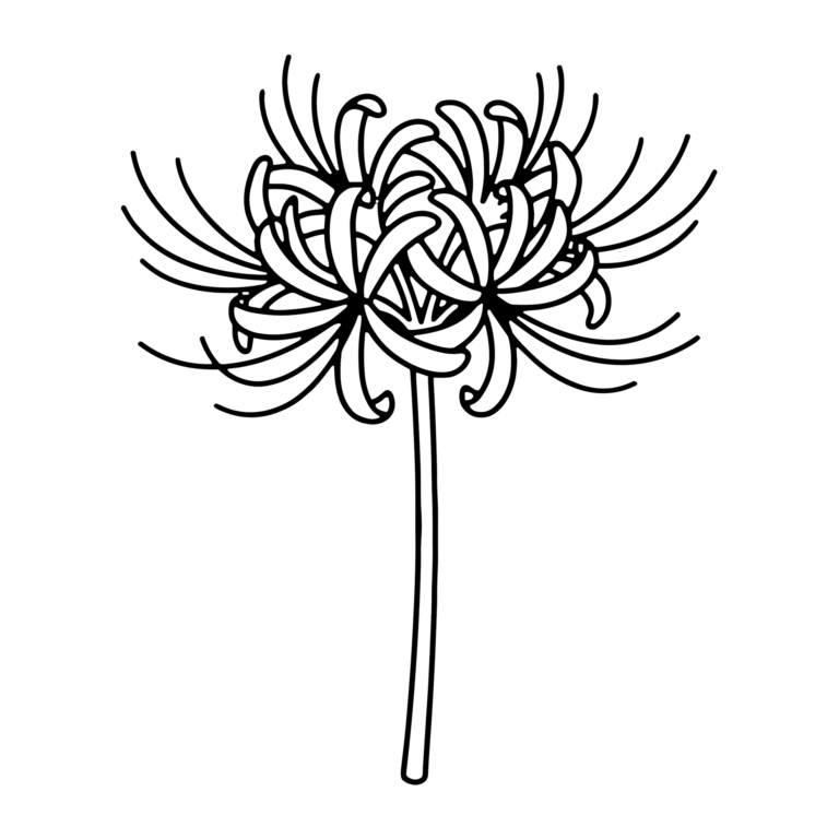 ひがんばなのイラスト（線画）｜壁面かざり用・背景透過PNG