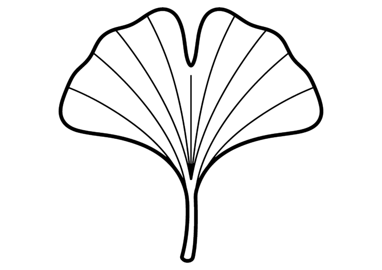 いちょうのイラスト（線画）｜壁面かざり用・背景透過PNG