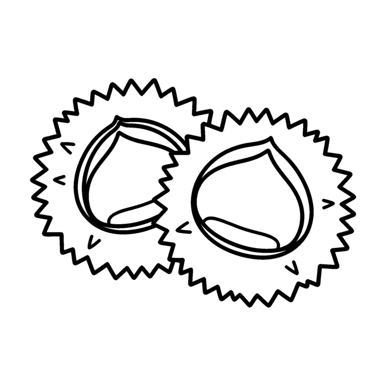 いがぐりのイラスト（線画）｜壁面かざり用・背景透過PNG