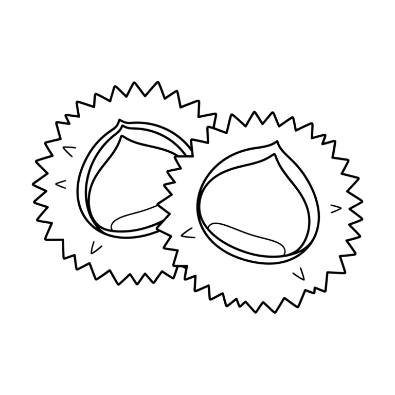 いがぐりのイラスト（線画）｜壁面かざり用・背景透過PNG