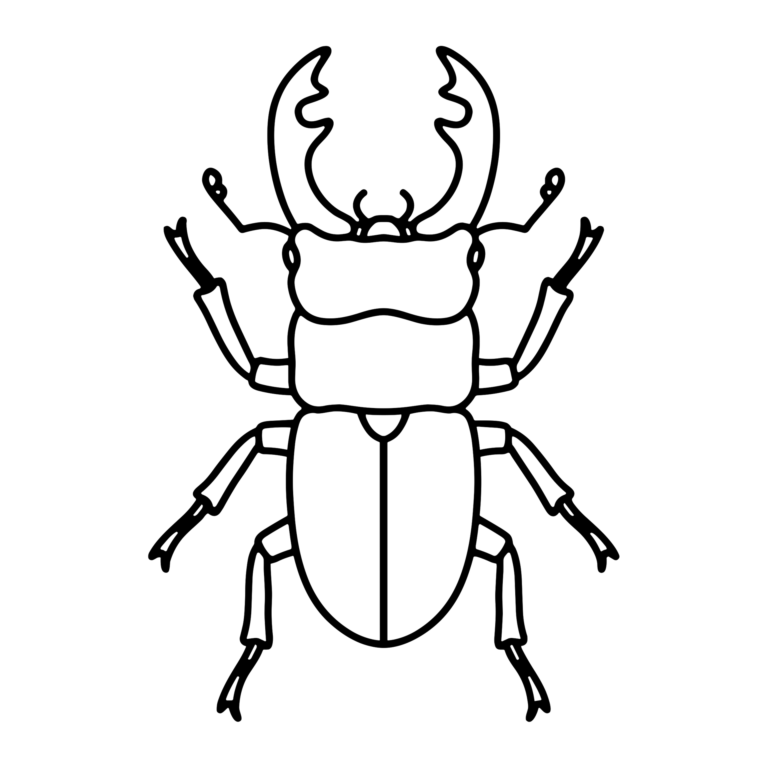 くわがたのイラスト（線画）｜壁面かざり用・背景透過PNG