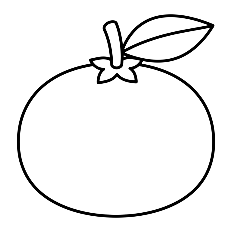 みかんのイラスト（線画）｜壁面かざり用・背景透過PNG
