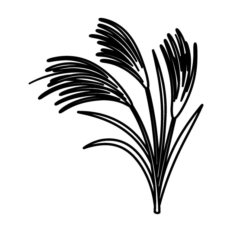 すすきのイラスト（線画）｜壁面かざり用・背景透過PNG