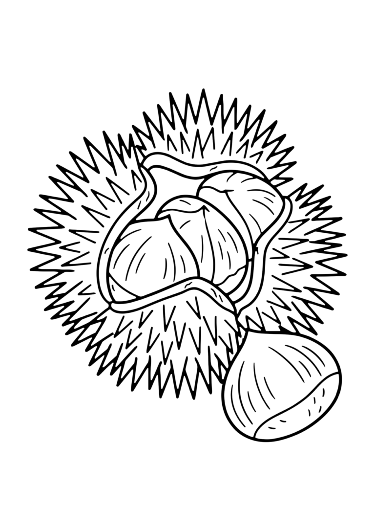 いが栗の塗り絵（白黒線画）