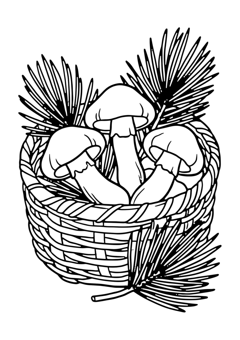 まつたけの塗り絵(白黒線画)