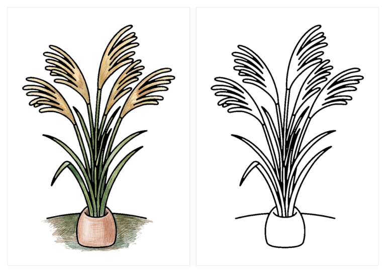 ススキの塗り絵イラスト