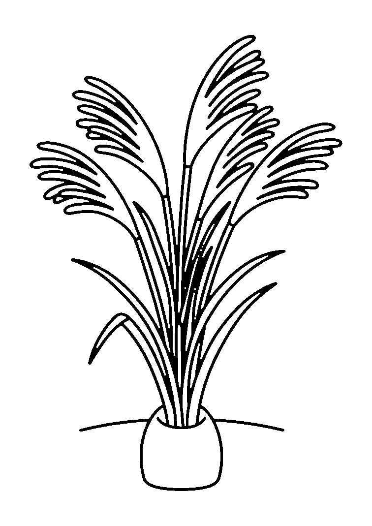 ススキの塗り絵の白黒線画(高齢者・大人)