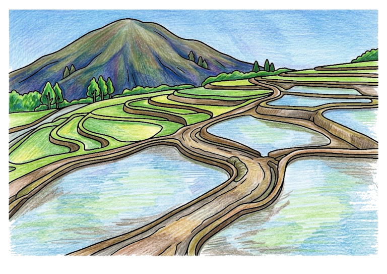棚田の風景の塗り絵のカラー見本