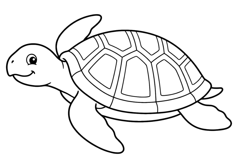 海がめの塗り絵(子供向け・白黒線画)